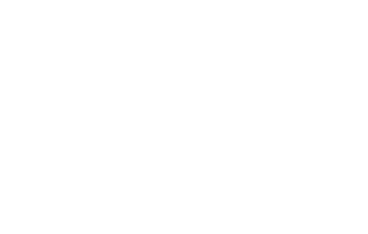 Quality Stone Logo